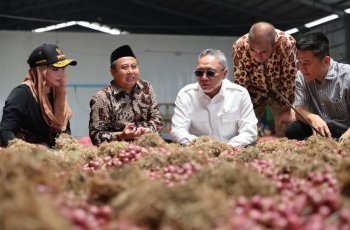 Ekspor Bawang Merah Brebes ke Thailand, Menko Pangan Pastikan Pasokan Nasional Tetap Aman