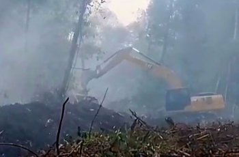 UPDATE Karhutla: Kemenhut Deteksi 1.532 Titik Panas, Kalteng dan Sumsel Jadi Prioritas