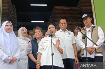 Cadangan Beras Bulog 4,8 Juta Ton, Titiek Soeharto Tegaskan Stok Aman Tanpa Impor