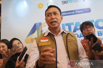 Bulog Serap 4,11 Juta Ton Beras Petani, Cetak Rekor Penyerapan Tertinggi