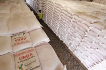 Kementan Imbau Petani Segera Isi e-RDKK Pupuk Subsidi Sebelum 25 Oktober 2026
