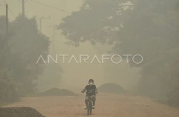 MPR Sebut Bantuan Negara Tetangga Percepat Penanganan Karhutla