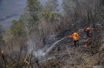 BPBD Pastikan Kabut Asap Karhutla Kalimantan Belum Masuk Wilayah Bali